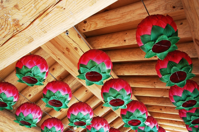 indoors, pattern, taking into consideration the mountain, ganghwado, directly above, large group of objects, close-up, high angle view, lantern, plant