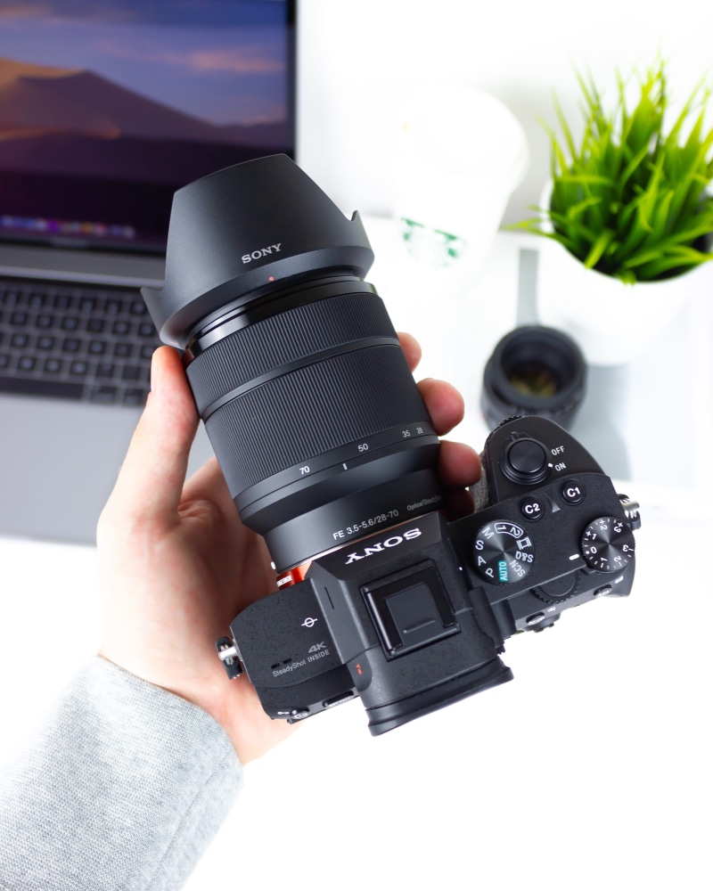 occupation, 4K, photographer, modern, potted plant, mirorrless, indoors, jar, person, black, photographic equipment, pottery, body part, real people, camera