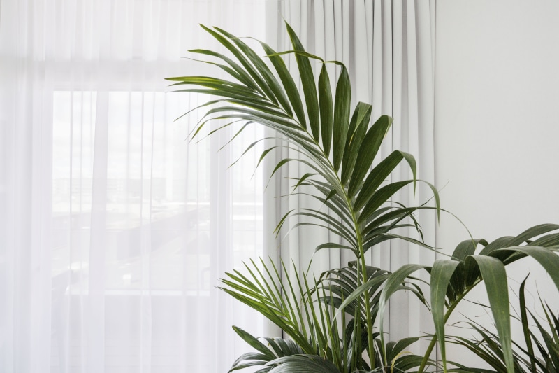 inside, tree, no people, flower arrangement, ornament, pattern, art, green color, plant part, focus on foreground, window, potted plant, vase, glass - material
