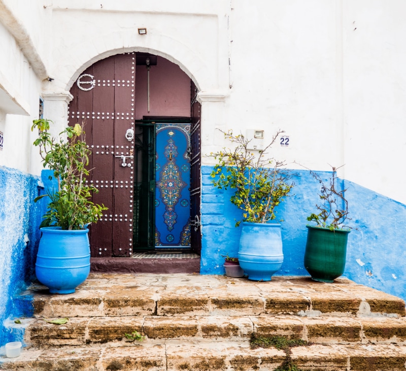 building, house, culture, 2K, street view, arch, vase, cultural, three, plants, jar, entrance, flower pot, blue, built structure, door, flora, morocco