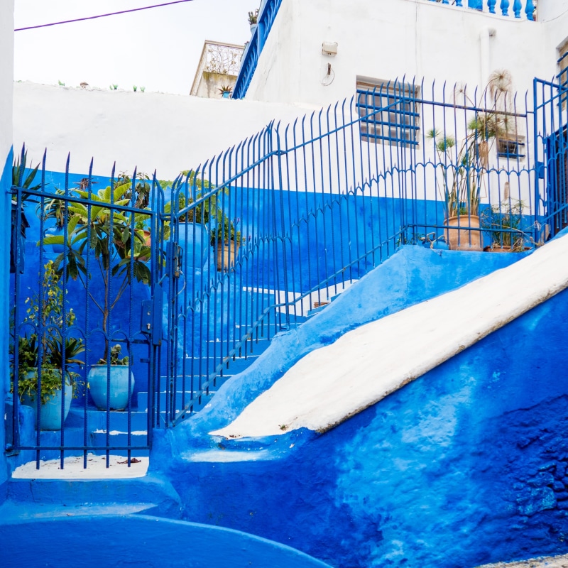 water, rabat, railings, gated, home, flora, winter, nature, turquoise colored, sunlight, kasbah of the udayas, swimming pool, day, entrance, building, architecture