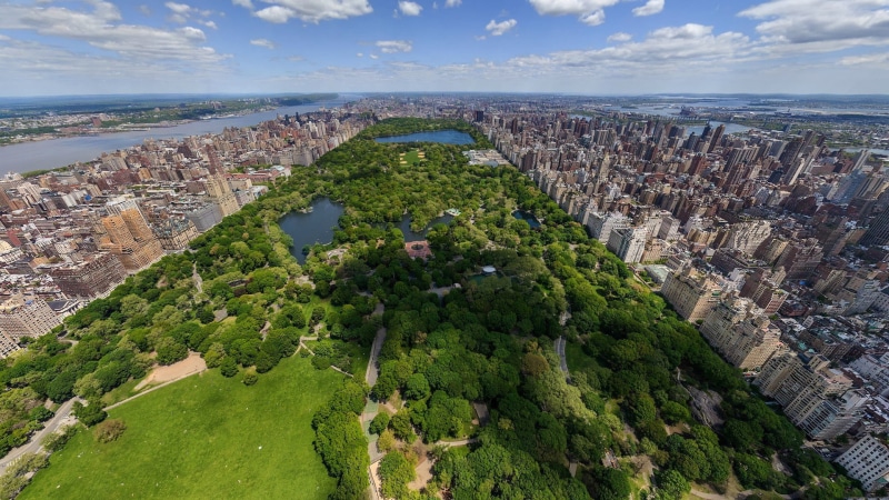 cityscape, city, park, New York City, Central Park, 1080P, urban
