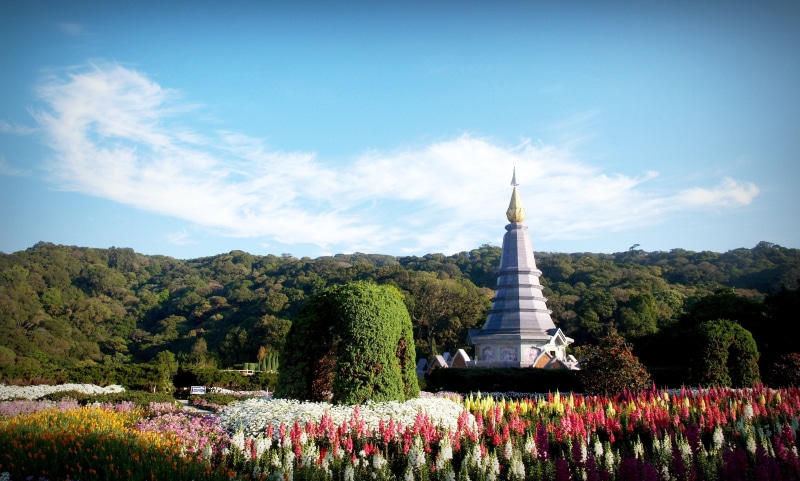 culture, vacation, growth, east, inthanon, tourist, buddha, religion, old, stupa, ancient, tower, beautiful, nature, history, sky, water, design, plant