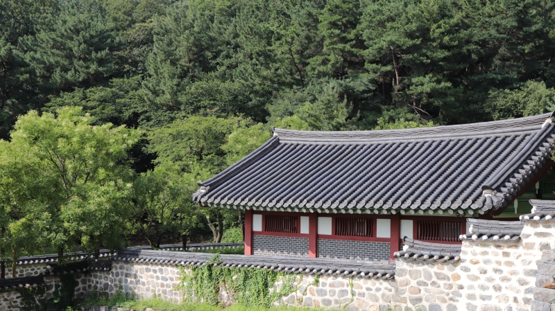 day, forest, spring, only, plant, tradition, south, only one, season, concrete, land, korea, korean, building, bricks, outdoor, park, brick, design, home
