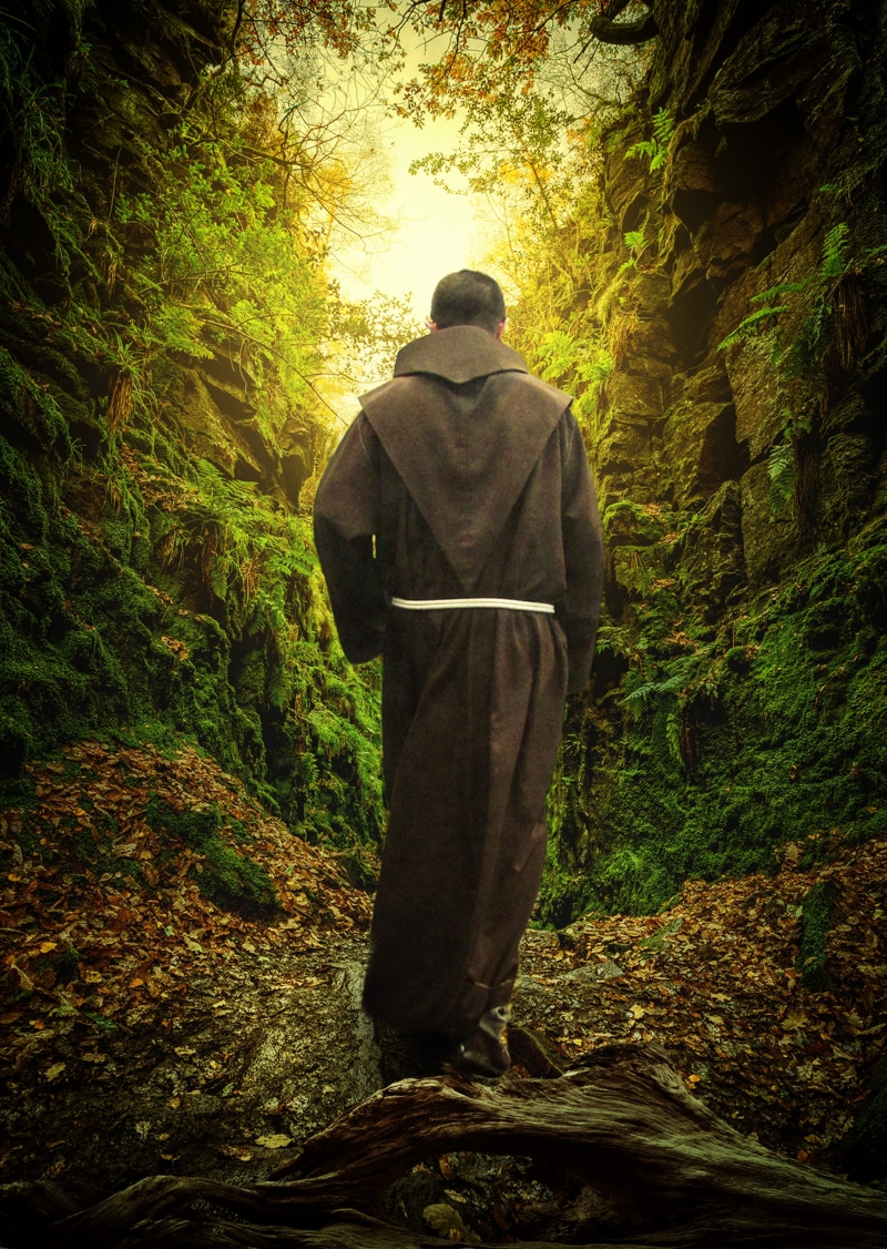 buddhism, one person, solitude, walk, leisure activity, real people, green, full length, path, men, day, nature, mountain, growth, temple, wood, monk, walking