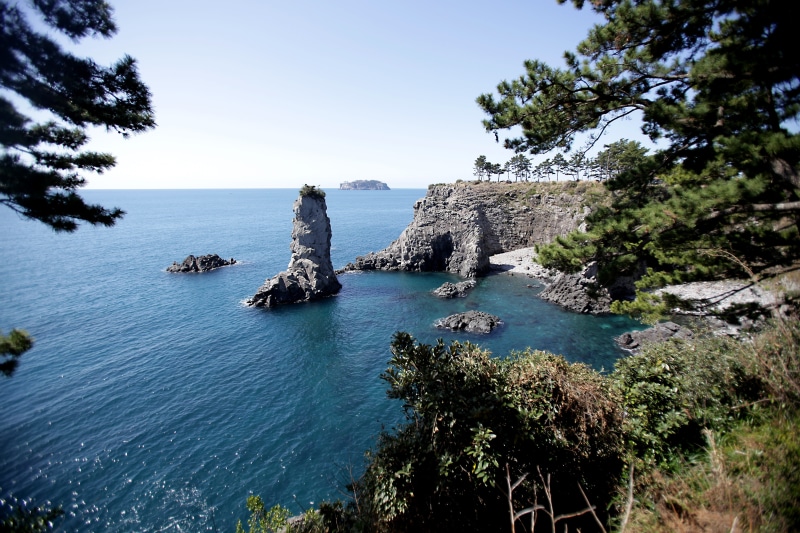 korea, water, tree, jeju island, outdoors, scenics - nature, rock - object, nature, 5K, beauty in nature, solid, clear sky, rock, stack rock, land, day