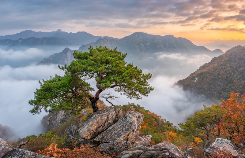 landscape, mountains, 1080P, Asia, South Korea, trees, rock, nature