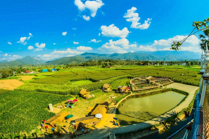 rural, thailand, no people, hut, daylight, husk, farmer, beautiful, countryside, oriental, cultivation, beauty in nature, asia, outdoors, organic, landscape