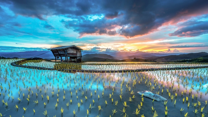 hut, landscape, sunset, 1080P, rice fields, mountains, rice paddy