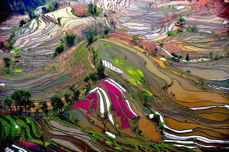 pattern, abstract, environment, multi colored, creativity, outdoors, landscape, 1080P, high angle view, land, water, green color, day, terraced field