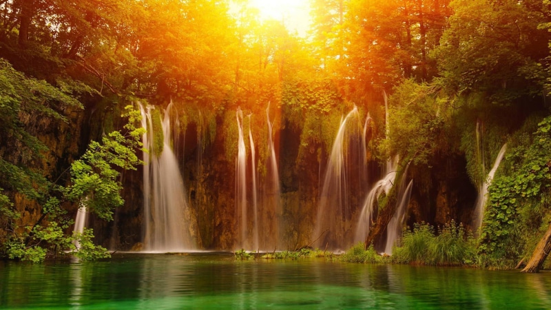 forest, river, no people, scene, leaf, summer, season, autumn, flowing, scenery, outdoor, waterfall, maple, plant, yellow, flower, landscape