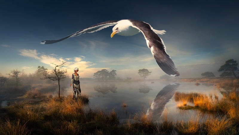 atmospheric, abendstimmung, brown, outdoors, fog, fairytale, white, bank, nature, landscape, reflection, animals in the wild, spread wings, full length