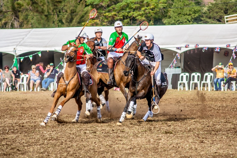 horseman, mammal, daytime, horse Racing, competitive Sport, rider, group of people, animal wildlife, domestic, polo cross, sport, ride, pets, men, sports Track