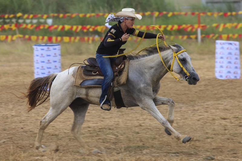 livestock, sports Venue, equestrian Event, rider, mammal, animal themes, flat Racing, animal wildlife, jockey, real people, domestic animals, horseracing Track