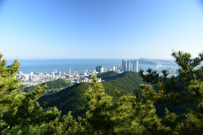 building, no people, blue, scenics - nature, busan, copy space, beauty in nature, sky, city, clear sky, south korea, plant, architecture, building exterior