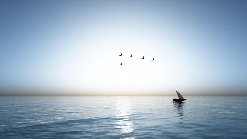 sky, water, tranquility, flock of birds, tranquil scene, horizon, clear sky, bird, morning, ocean, group of animals, wave, shore, beauty in nature, animal wildlife