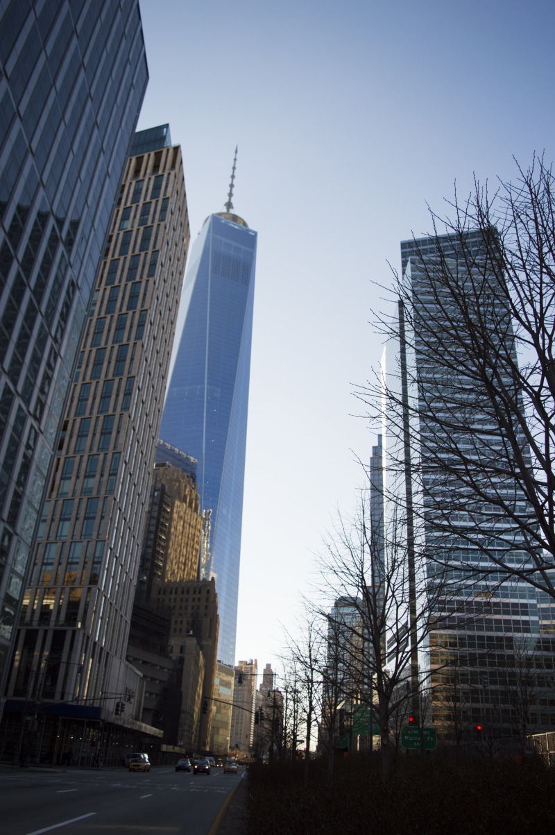nature, commerce, outdoors, spire, design, bare tree, modern, new york, built structure, tower, financial district, office, tall - high, symbol, america