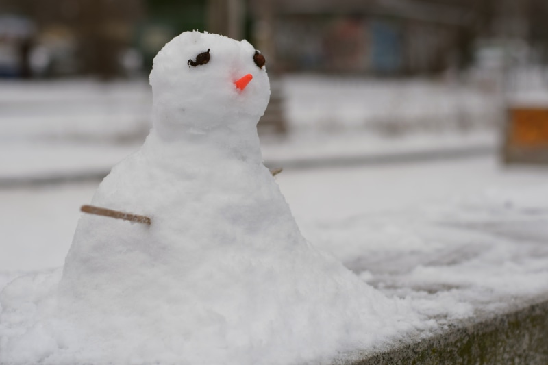santa claus, holly, snowman, project manager, outdoors, christmas, greeting, animal, traditional, vacations, boss, close-up, ze, day, snow, focus on foreground