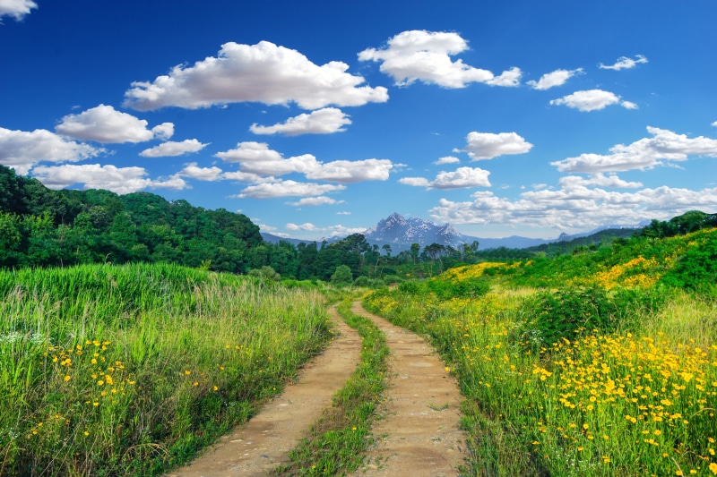 gil, green color, dirt, road, sky, land, the way landscape, no people, landscape, ball hill springs trail, diminishing perspective, outdoors, cloud - sky