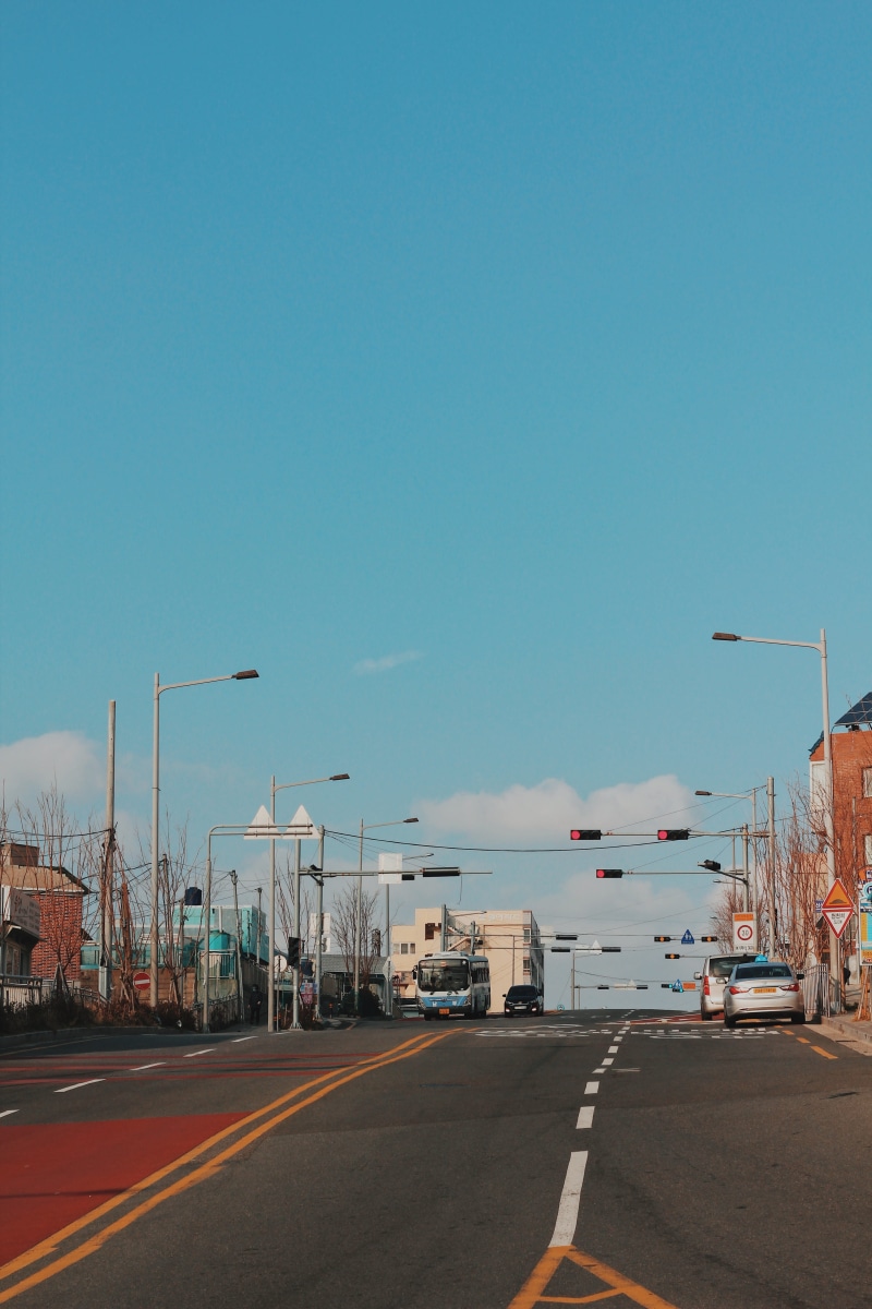 animal, architecture, road, building, way, intersection, mode of transportation, outdoors, direction, highway, vehicle, transportation, copy space, clear sky