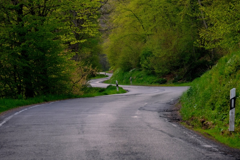 tree, nature, empty road, direction, outdoors, tranquility, close, transportation, curves, diminishing perspective, drive, photography, landscape, day