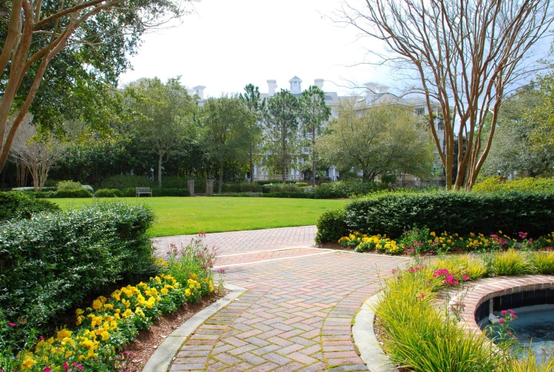 2K, flower, concrete, pathway, relaxation, paving stone, footpath, yard, flowering plant, green, shrub, parkland, hedge, ornamental garden, ornate, environment