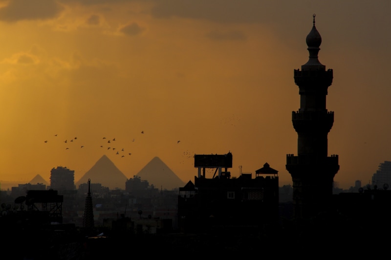 flying, tourist, animal, cute, building exterior, 5K, sky, architecture, tour, beautiful, pyramids, mosque, orange color, nature, bird, garden, tree, group of animals