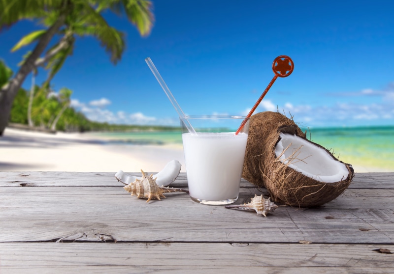 travel, food, straw, plant, 5K, drinking Straw, tree, shell, glass, coconut, water, household equipment, coffee - Drink, food and drink, cocktail, juice