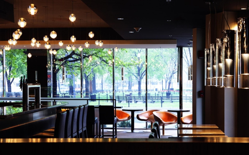 cafe, design, cool, 1080P, animals, interior, restaurant, view