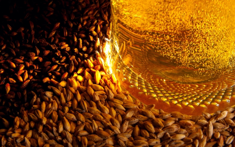 barley, beer, 4K, drink, bubbles