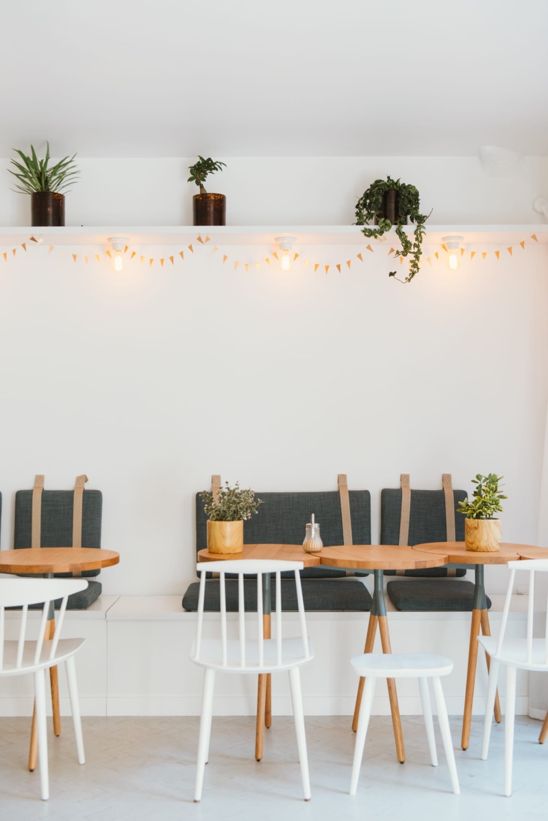 plant, indoors, cafe, color, decor, seat, design, Sweet, lights, assorted, furniture, domestic Room, table, elegance, day, white color, chair, dining Room