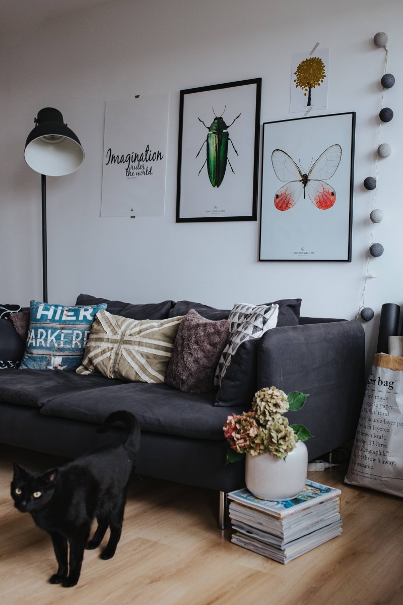 home showcase interior, living, wooden, Designer, wooden box, table, lighting equipment, no People, potted plant, blue, box, comfortable, design, apartment
