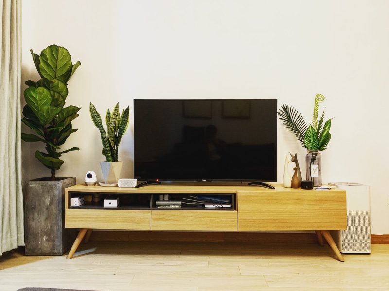 plant part, home, nature, living room, flower pot, home interior, plant, technology, flooring, growth, turned, china, wood - material, lcd screen, table