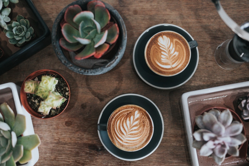 no people, indoors, two, coffee - drink, succulent, drink, cafe, refreshment, arts, plants, plant, coffee con, latte, high angle view, hot drink, coffee culture