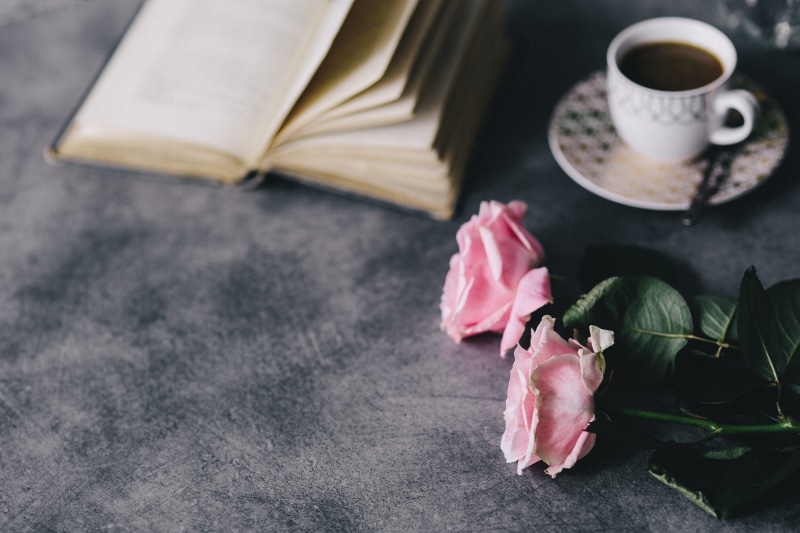 4K, book, close-up, indoors, flowering plant, time, plant, cup, food and drink, books, literature, day, crockery, table, resting, roseses, flower, mug