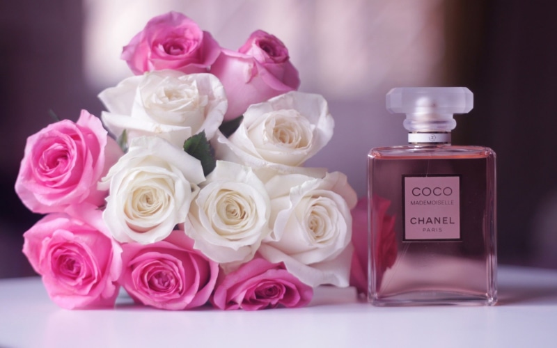 flowering plant, indoors, fragrance, vulnerability, nature, inflorescence, softness, bunch of flowers, petal, bottle, arrangement, 1080P, chanel