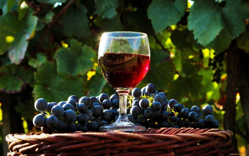 red wine, refreshment, close-up, drink, berry fruit, freshness, healthy eating, wine, alcohol, winemaking, fruit, food, glass, food and drink, no people