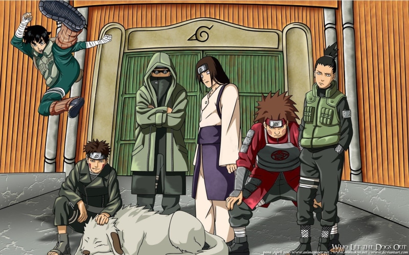 manga, shino, neji, nara, inuzuka, choji, akamaru, hyuuga, naruto, anime, 720P, aburame, shippuden, kiba, shikamaru, akimichi, lee, rock