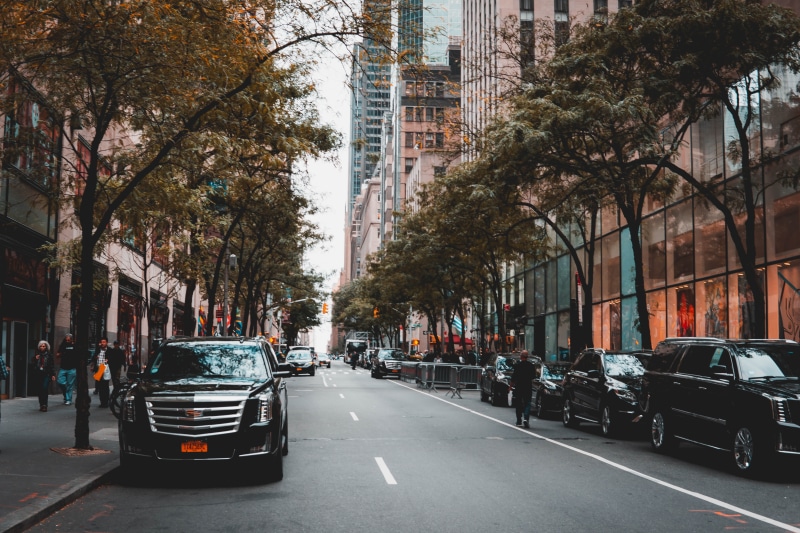 parked, tree, treelined, housing, car, incidental people, built structure, urban, new york, plant, grey, bumper, 5K, escalade, sedan, transportation, city