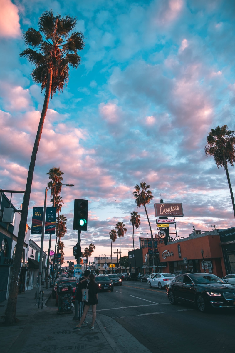 way, palm tree, mode of transportation, land vehicle, city, plant, sports car, outdoors, sunset, buildings, boardwalk, motor vehicle, coconut, vehicle