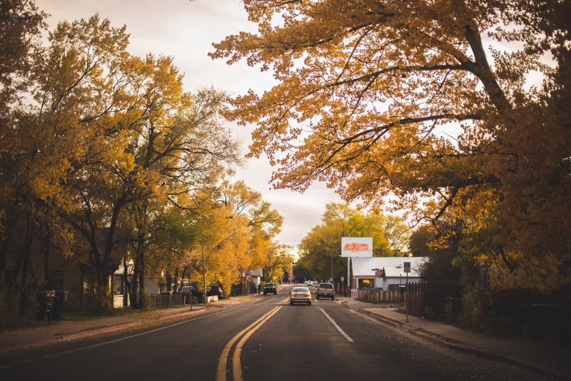 city, urban, day, highway, plant, 5K, direction, clouds, treelined, car, land vehicle, growth, white, way, no people, flagstaff, apparel, transportation