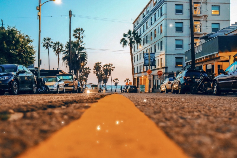 line, building exterior, 4K, dirt road, road, low, ocean, venice, the way forward, surface level, palm tree, asphalt, tree, gravel, united states, selective focus