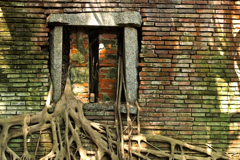 wood, window, building exterior, indoors, abandoned, ruined, wall, brick, brick wall, home, concrete, cottage, day, no people, deterioration, brown, house