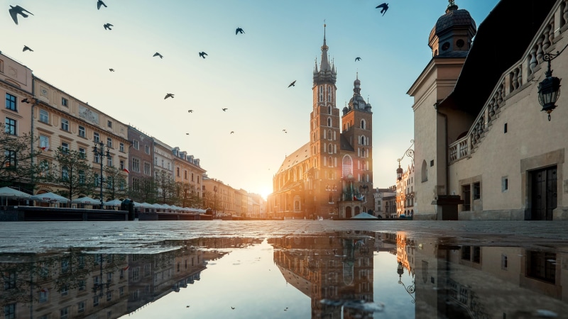 flying, vertebrate, cathedral, built structure, spirituality, main square, city, sky, basilica, puddle, building, krakow, bird, reflection, puddle reflection