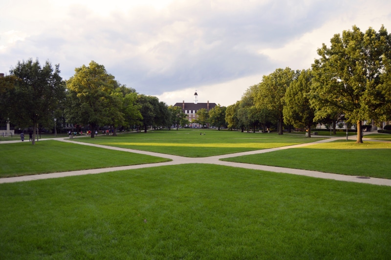 college life, no people, school, leisure activity, cloud - sky, campus, ornamental garden, main, 4K, travel, garden, quad, university of illinois, grass