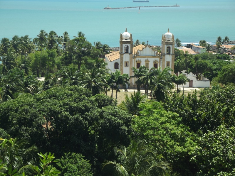 olinda, travel destinations, building exterior, plant, no people, sunlight, recife, green color, high angle view, architecture, building, foliage, tropical climate
