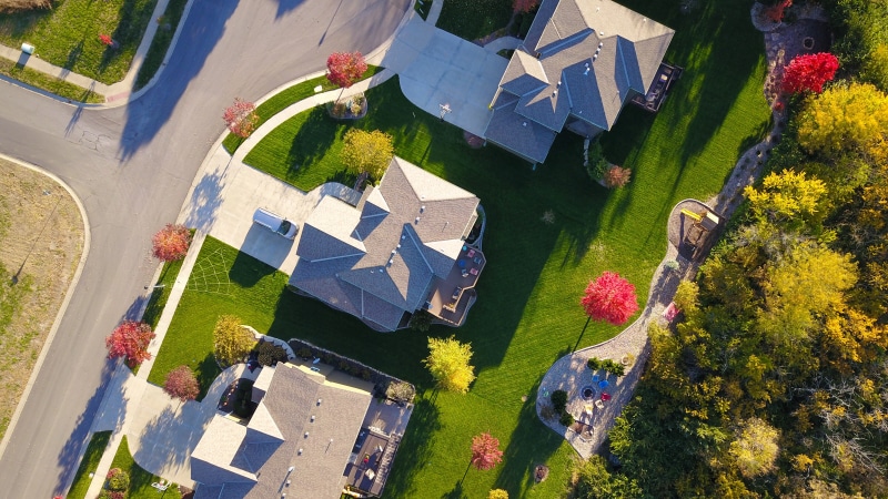 building exterior, aerial shot, buildings, drone shot, trees, property, aerial photography, yard, mockup, flower, real estate, eye, backyard, flowering plant