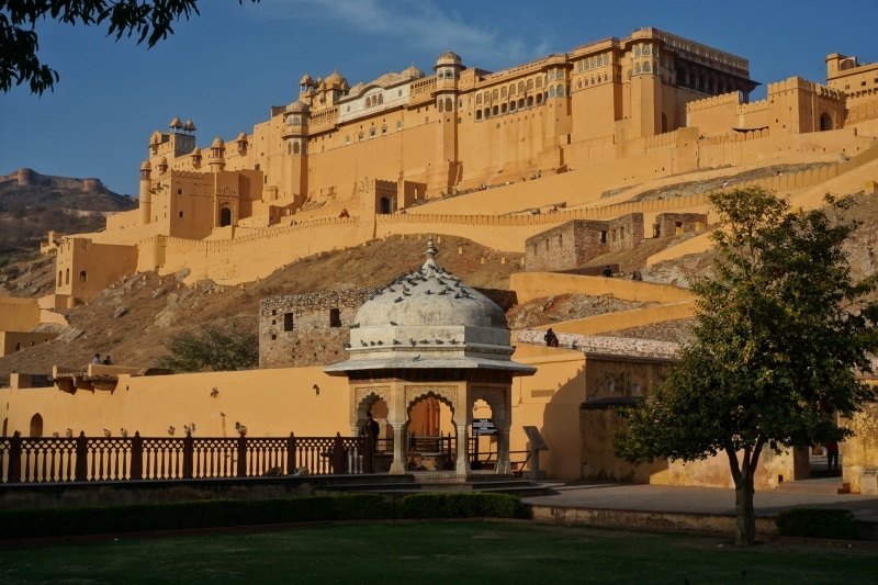 architecture, travel destinations, tree, archaeology, day, city, nature, built structure, building exterior, history, sunlight, jaipur, india, sky, ruined