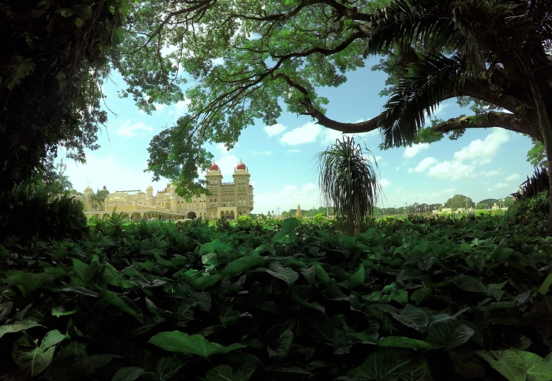 building, 4K, palace, sky, old, leaf, travel, tranquility, built structure, no people, green color, trunk, architecture, old palace, day, tree, unnamed road