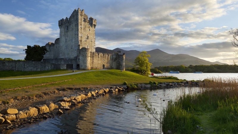 grass, the past, clouds, lake, building, reflection, built structure, gray, cloud - sky, history, architecture, ancient, building exterior, concrete, swan